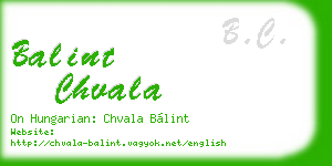 balint chvala business card